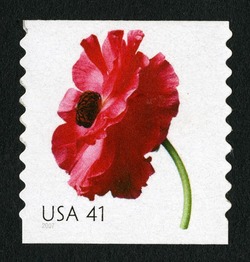 Poppy - Horizontal Imperforate United States Postage Stamp | Beautiful Blooms