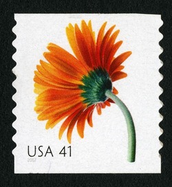 Orange Gerbera Daisy - Horizontal Imperforate United States Postage Stamp | Beautiful Blooms