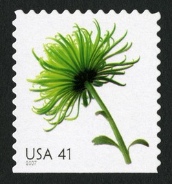 Chrysanthemum - Booklet Single United States Postage Stamp | Beautiful Blooms