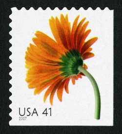 Orange Gerbera Daisy - Booklet Single United States Postage Stamp | Beautiful Blooms