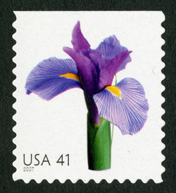 Iris - Booklet Single United States Postage Stamp | Beautiful Blooms