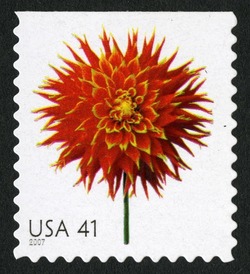 Dahlia - Booklet Single United States Postage Stamp | Beautiful Blooms