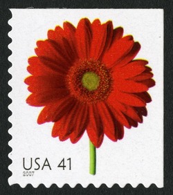 Red Gerbera Daisy - Booklet Single United States Postage Stamp | Beautiful Blooms