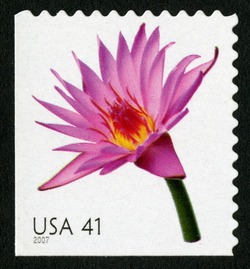 Water Lily - Booklet Single United States Postage Stamp | Beautiful Blooms