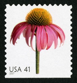 Coneflower - Booklet Single United States Postage Stamp | Beautiful Blooms