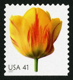 Tulip - Booklet Single United States Postage Stamp | Beautiful Blooms