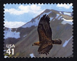 Golden Eagle United States Postage Stamp | Alpine Tundra
