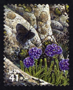 Magdalena Butterfly United States Postage Stamp | Alpine Tundra