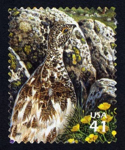 White-tailed Ptarmigan United States Postage Stamp | Alpine Tundra