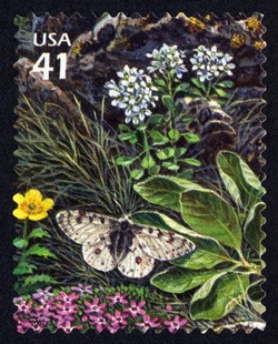 Rocky Mountain Parnassian Butterfly United States Postage Stamp | Alpine Tundra