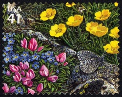 Melissa Arctic Butterfly United States Postage Stamp | Alpine Tundra