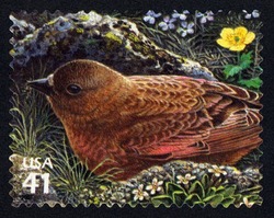Brown-capped Rosy-finch United States Postage Stamp | Alpine Tundra