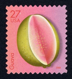 Guava United States Postage Stamp | Tropical Fruit