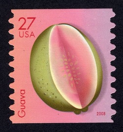Guava - Horizontal Imperforate United States Postage Stamp | Tropical Fruit