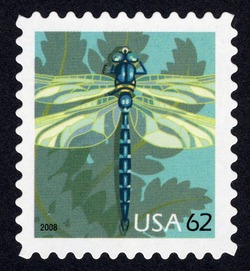 Dragonfly United States Postage Stamp