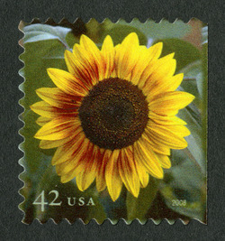 Sunflower United States Postage Stamp