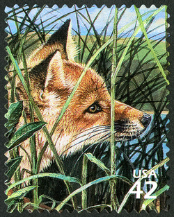 Red Fox United States Postage Stamp | Great Lakes Dunes