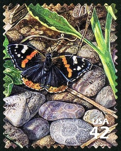 Red Admiral Butterfly United States Postage Stamp | Great Lakes Dunes