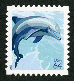 Dolphin United States Postage Stamp
