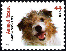 Jack Russel Terrier - Dog United States Postage Stamp | Animal Rescue - Adopt a Shelter Pet