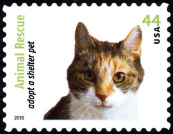 Calico - Cat United States Postage Stamp | Animal Rescue - Adopt a Shelter Pet