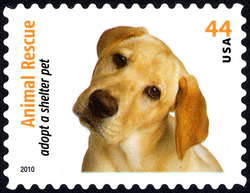 Yellow Lab Retriever - Dog United States Postage Stamp | Animal Rescue - Adopt a Shelter Pet