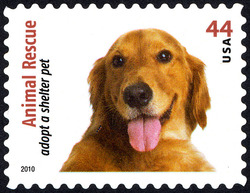 Golden Retriever - Dog United States Postage Stamp | Animal Rescue - Adopt a Shelter Pet