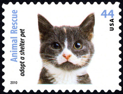 Gray and White Cat United States Postage Stamp | Animal Rescue - Adopt a Shelter Pet