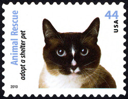 Black and White Cat United States Postage Stamp | Animal Rescue - Adopt a Shelter Pet