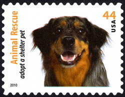 Australian Shepherd - Dog United States Postage Stamp | Animal Rescue - Adopt a Shelter Pet