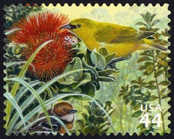 Hawai'i 'Amakihi - Hawai'i 'Elepaio - Ohi'a Lehua United States Postage Stamp | Hawaiian Rain Forest