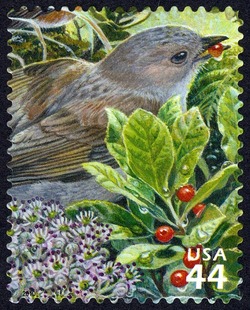 Oma'o (Hawaiian Thrush) United States Postage Stamp | Hawaiian Rain Forest