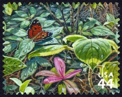 Pulelehua Butterfly United States Postage Stamp | Hawaiian Rain Forest