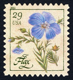 Flax United States Postage Stamp | Herbs