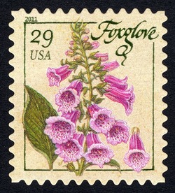 Foxglove United States Postage Stamp | Herbs