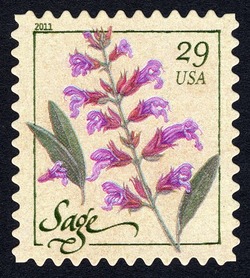 Sage United States Postage Stamp | Herbs