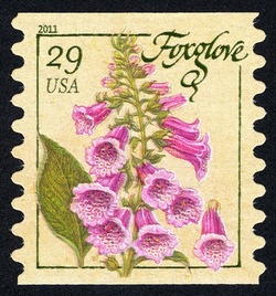 Foxglove - Horizontal Imperforate United States Postage Stamp | Herbs