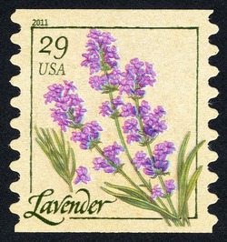 Lavender - Horizontal Imperforate United States Postage Stamp | Herbs