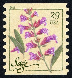 Sage - Horizontal Imperforate United States Postage Stamp | Herbs
