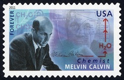 Melvin Calvin - Chemist United States Postage Stamp | American Scientists