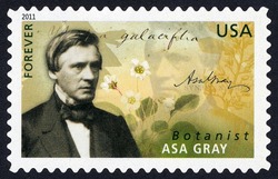 Asa Gray - Botanist United States Postage Stamp | American Scientists