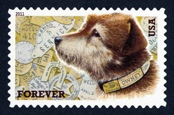 Owney the Postal Dog United States Postage Stamp
