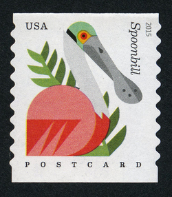 Roseate Spoonbill - Platalea Ajaja - Horizontal Imperforate United States Postage Stamp | Coastal Birds