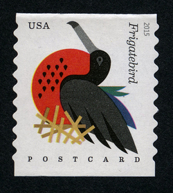 Magnificent Frigatebird - Fregata Magnificens - Horizontal Imperforate United States Postage Stamp | Coastal Birds