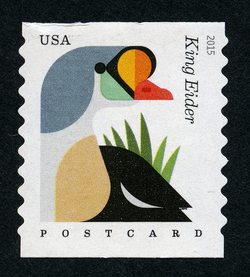 King Eider - Somateria Spectabilis - Horizontal Imperforate United States Postage Stamp | Coastal Birds