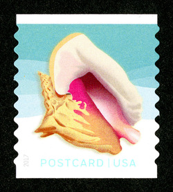 Queen (Pink) Conch - Horizontal Imperforate United States Postage Stamp | Seashells