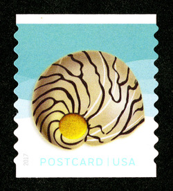 Pacific Calico Scallop - Horizontal Imperforate United States Postage Stamp | Seashells