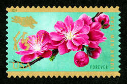 Year of the Boar United States Postage Stamp | Chinese Lunar New Year