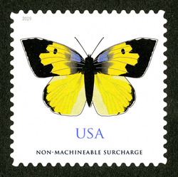 California Dogface Butterfly - Non-machineable Surcharge United States Postage Stamp