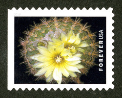 Parodia Microsperma United States Postage Stamp | Cactus Flowers